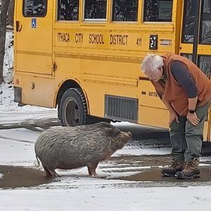 Meet your Posher, Branko